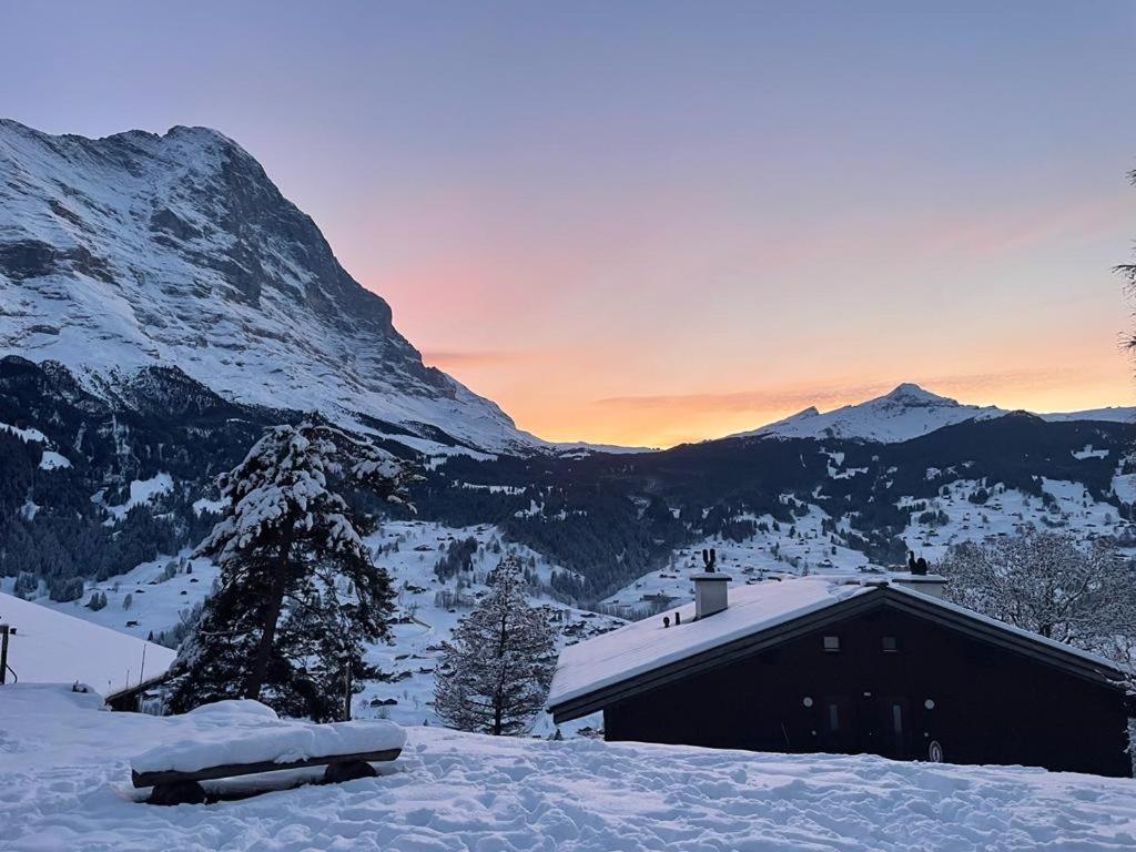 Eiger View Alpine Lodge กรินเดลวัลด์ ภายนอก รูปภาพ