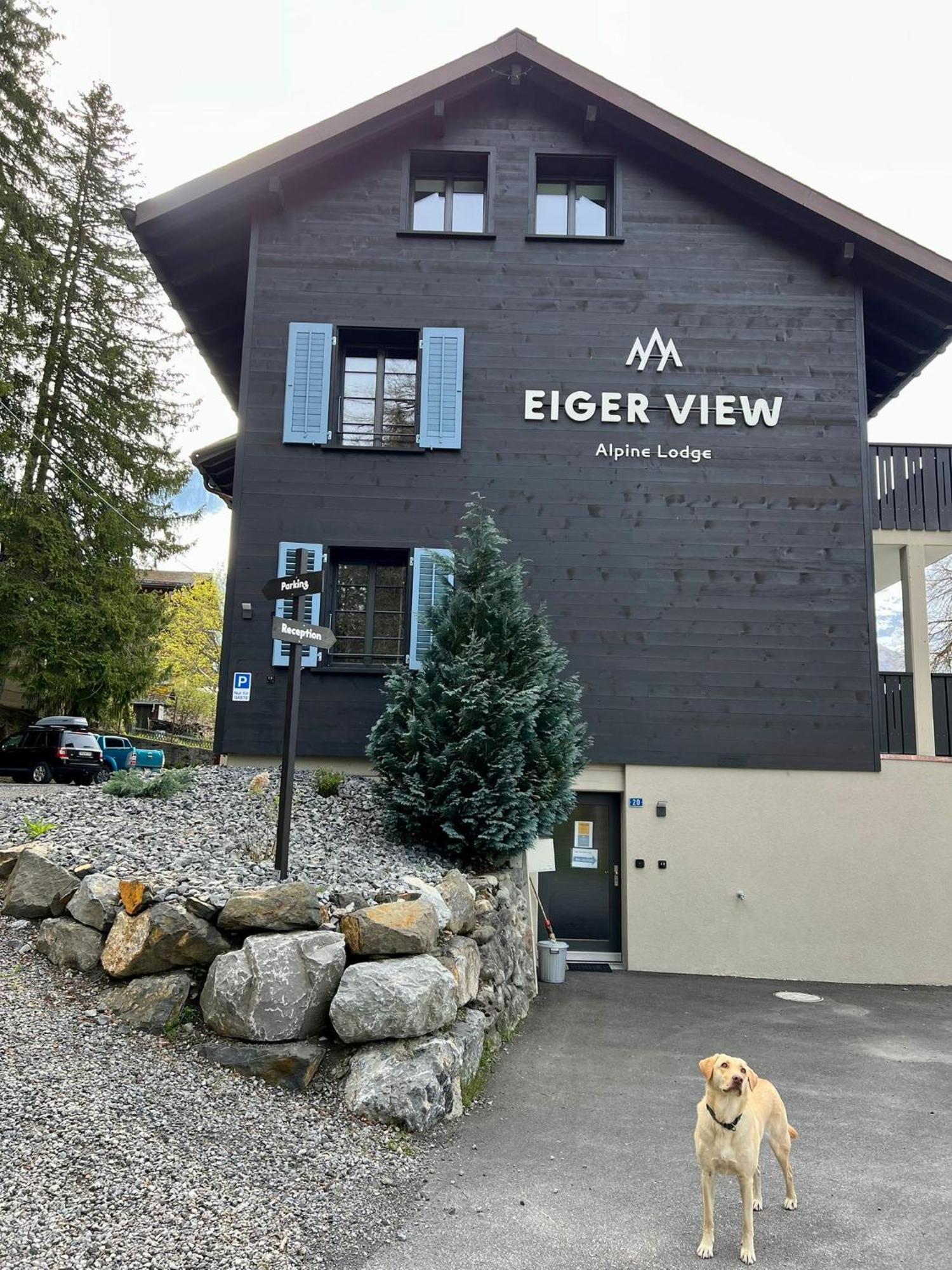 Eiger View Alpine Lodge กรินเดลวัลด์ ภายนอก รูปภาพ