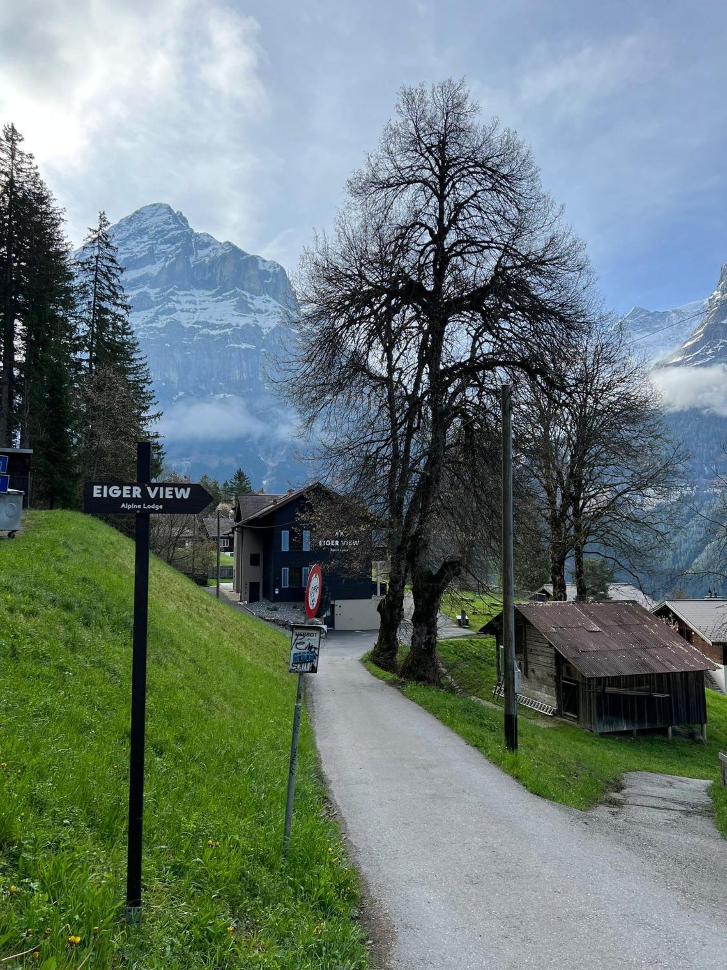 Eiger View Alpine Lodge กรินเดลวัลด์ ภายนอก รูปภาพ