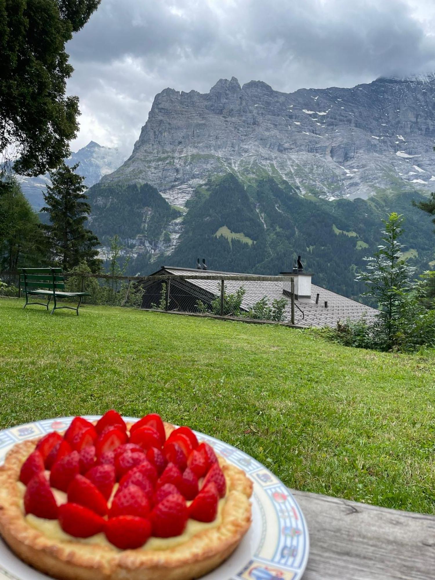 Eiger View Alpine Lodge กรินเดลวัลด์ ภายนอก รูปภาพ